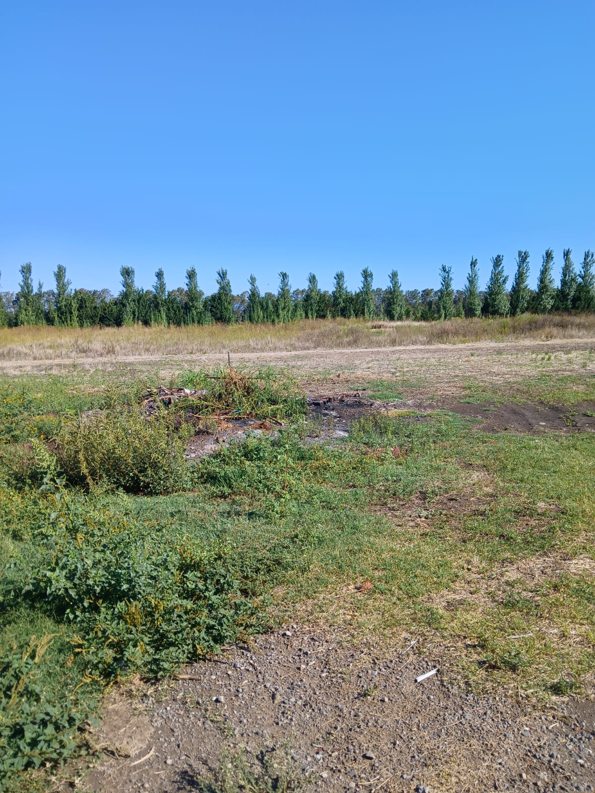 venta campo chico