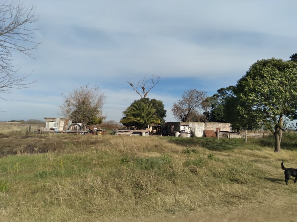 VENTA CAMPO