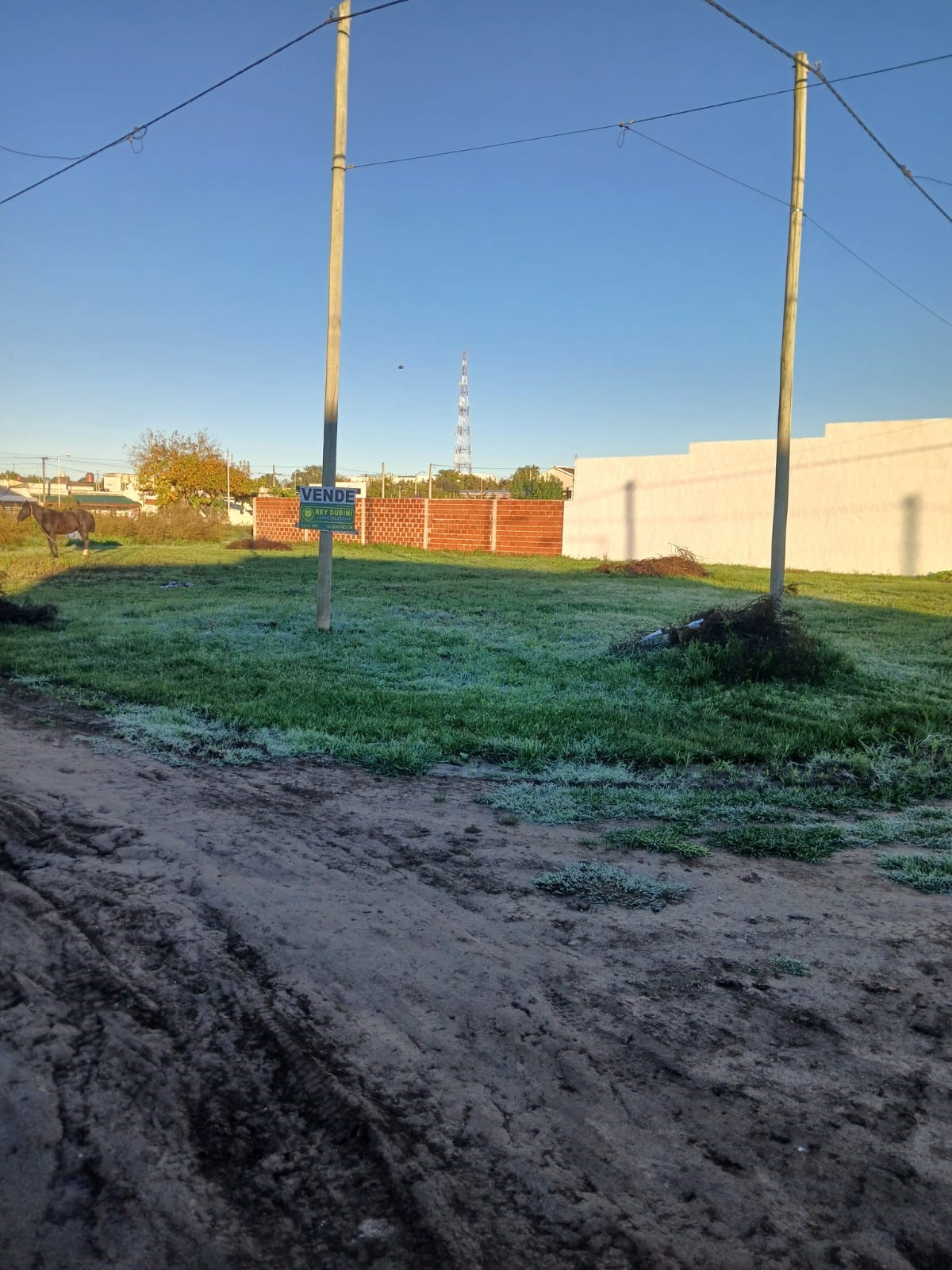 lote importante